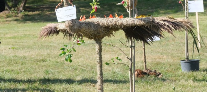 Šalia vaikų žaidimų aikštelės „nutūpė“ įvairiaspalviai paukščiai