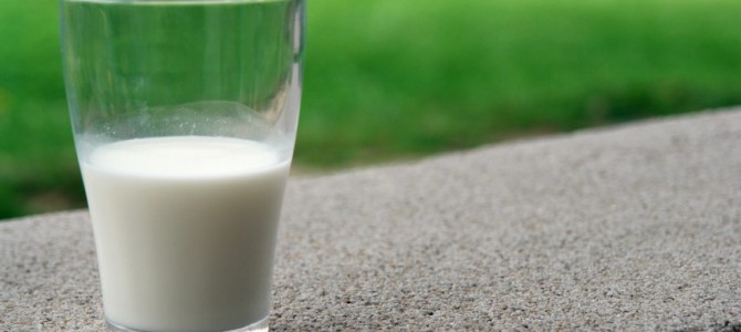 Nacionalinė parama pieno gamintojams – jau rugsėjį