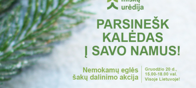Miškininkai kviečia parsinešti Kalėdas į savo namus – gruodžio 20 d. visoje Lietuvoje vyks nemokamų eglės šakų dalinimo akcija