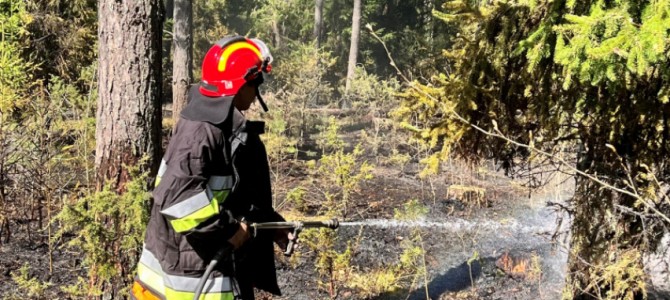 Lietuvoje – didelis miško gaisrų pavojus – iššūkis Valstybinių miškų urėdijos miškininkams